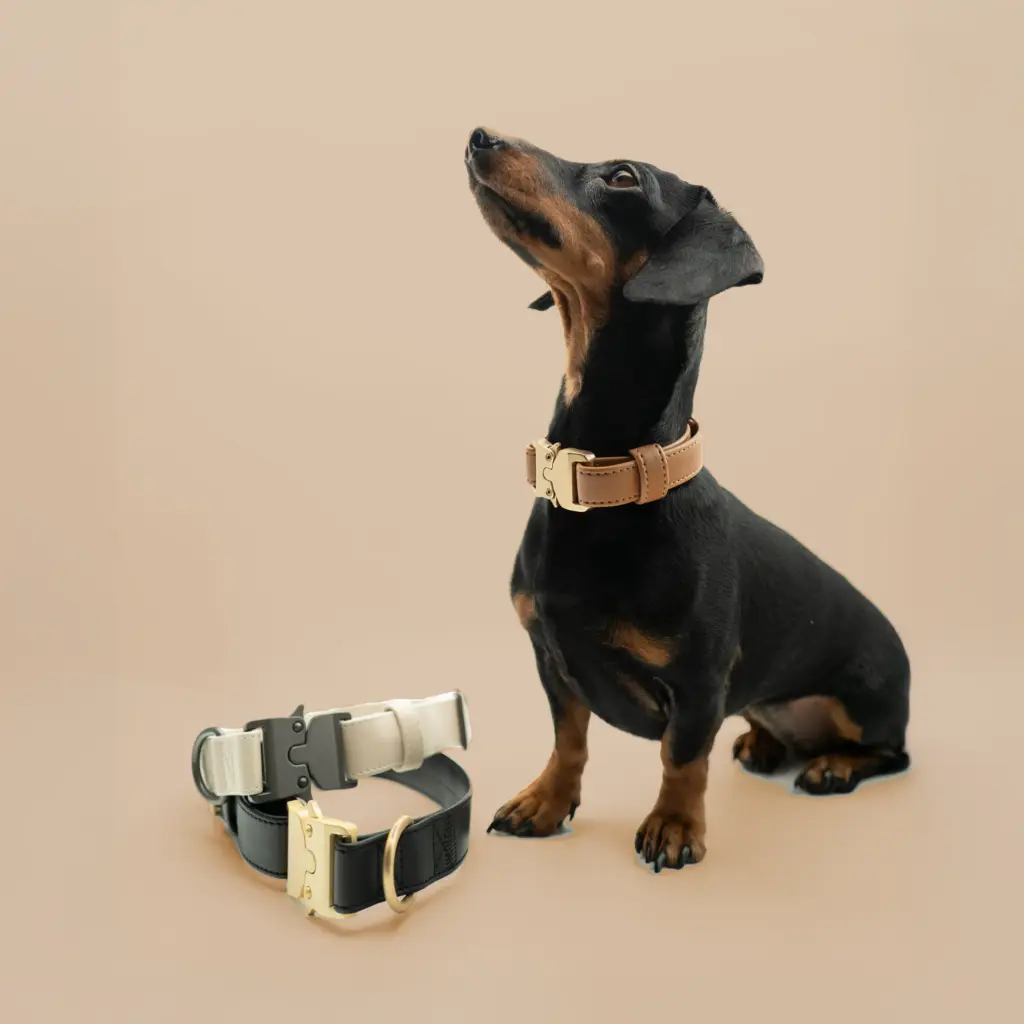 Classic Beige Anthrazit 11